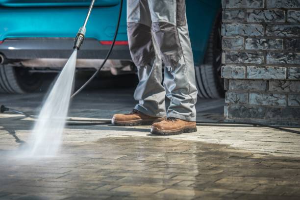 Best Warehouse Cleaning  in Black River, NY