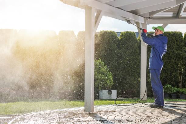 Best Animal Enclosure Cleaning  in Black River, NY